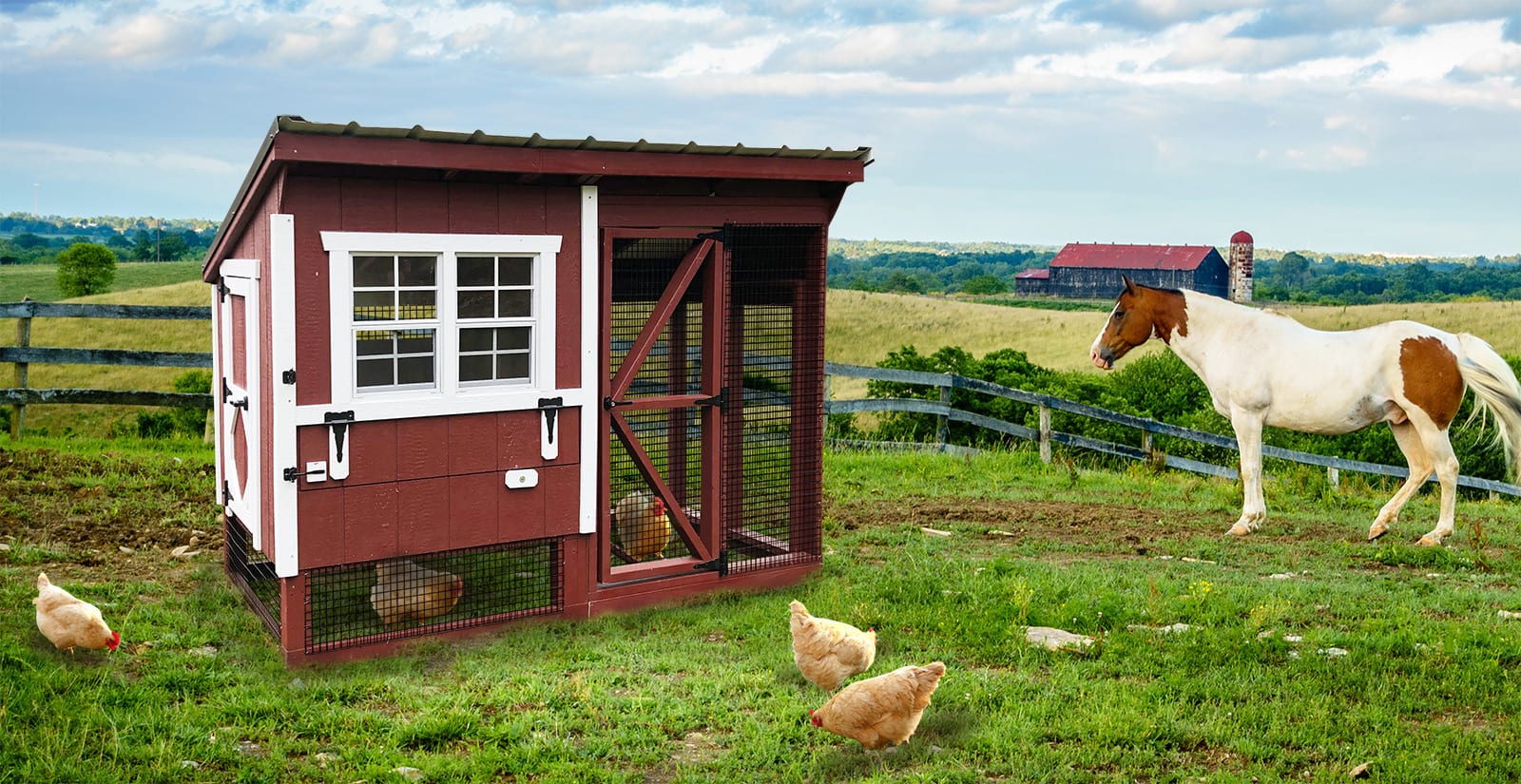 050101-48B_red_white_hen_houses_farm_field_fence_barnyard_1600X825_v1 050101-48B_red_white_hen_houses_farm_field_fence_barnyard_1600X825_v1