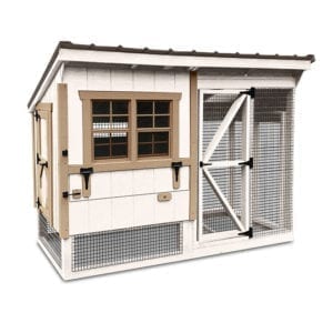 simple back yard coop with chicken run