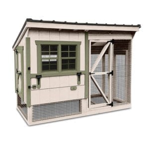 Silver white wooden chook coop kit with black metal roof and fresh green trim for 9 hens