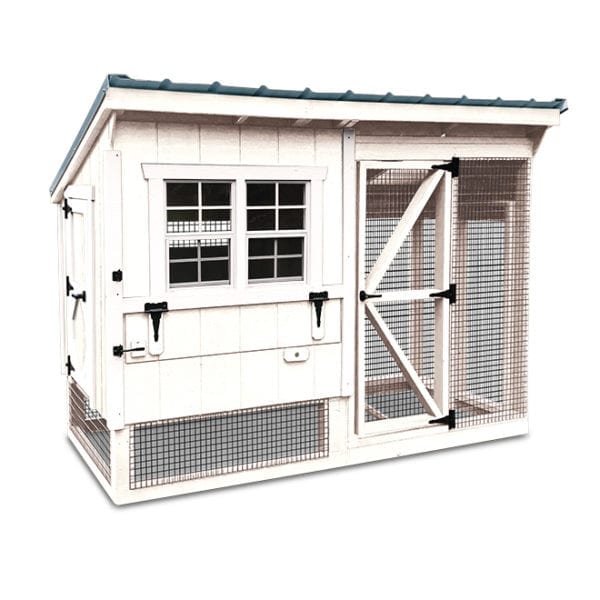 white chicken coop with blue roof two windows, chicken run, nest boxes egg access in front