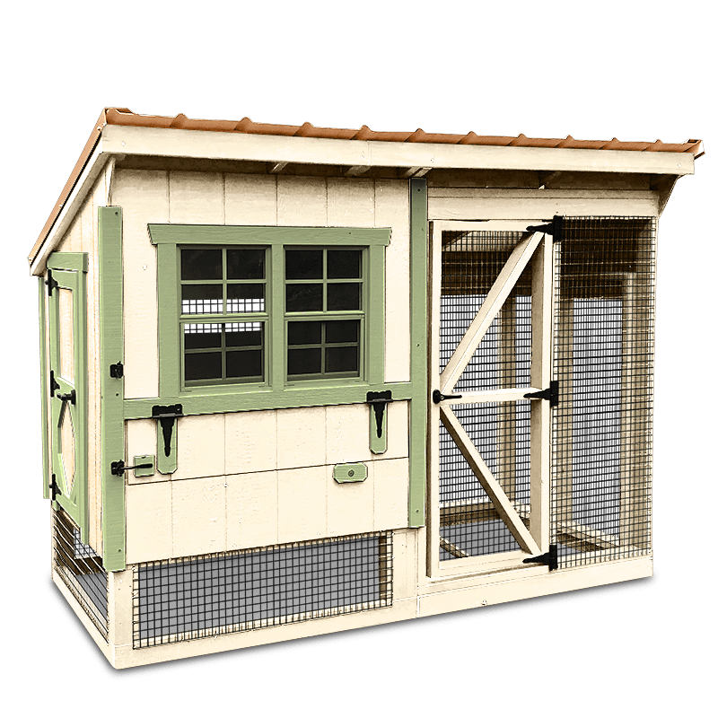 050101A_amish_chicken_coop_kits_four_chickens_egg_layers_in_backyard_9_800x800_v1