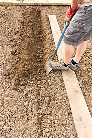 dig_trench_prepare_new_hen_house_shovel_dirt_board_straigh_18_inches_deep_bury_wire_300x450_85 Digging a Trench to Bury Wire to Protect Chickens from Burrowing Predators