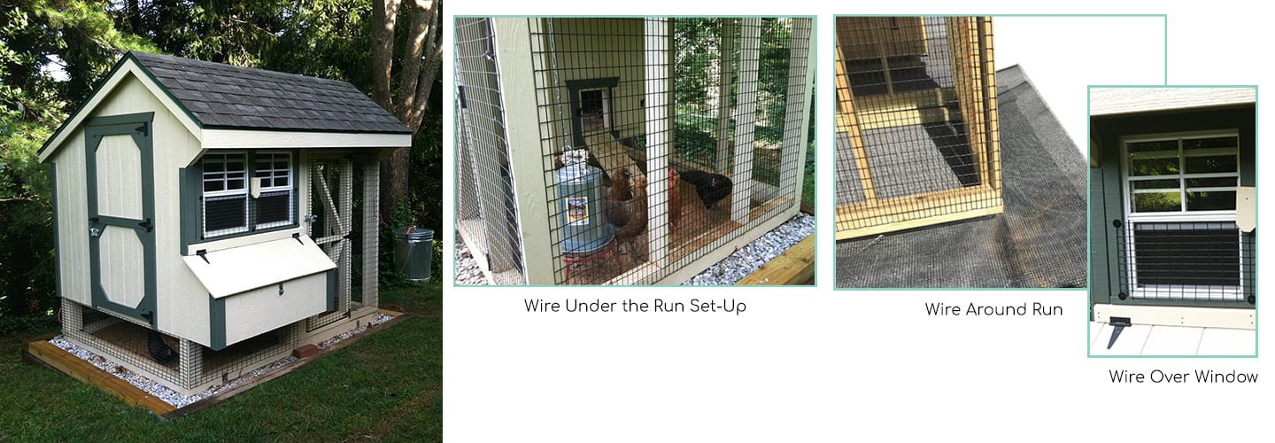 Several images showing predator proofing methods using a customer chicken coop set-up as an example. Pressure treated four by fours are placed around the bottom of the coop about 12