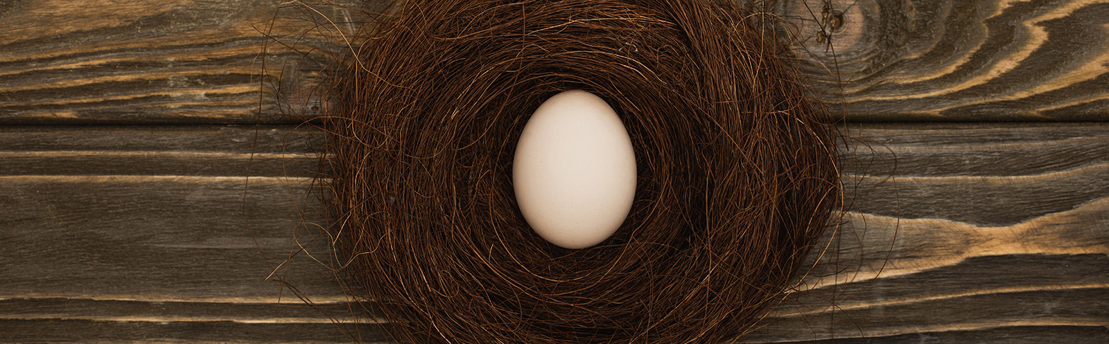 top view of fresh chicken egg in nest on wooden surface, panoramic shot top view of fresh chicken egg in nest on wooden surface, panoramic shot